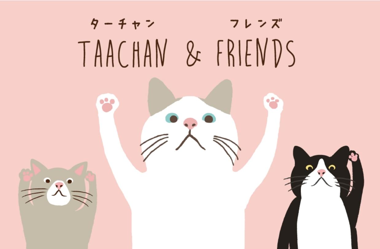 TAACHAN & FRIENDS