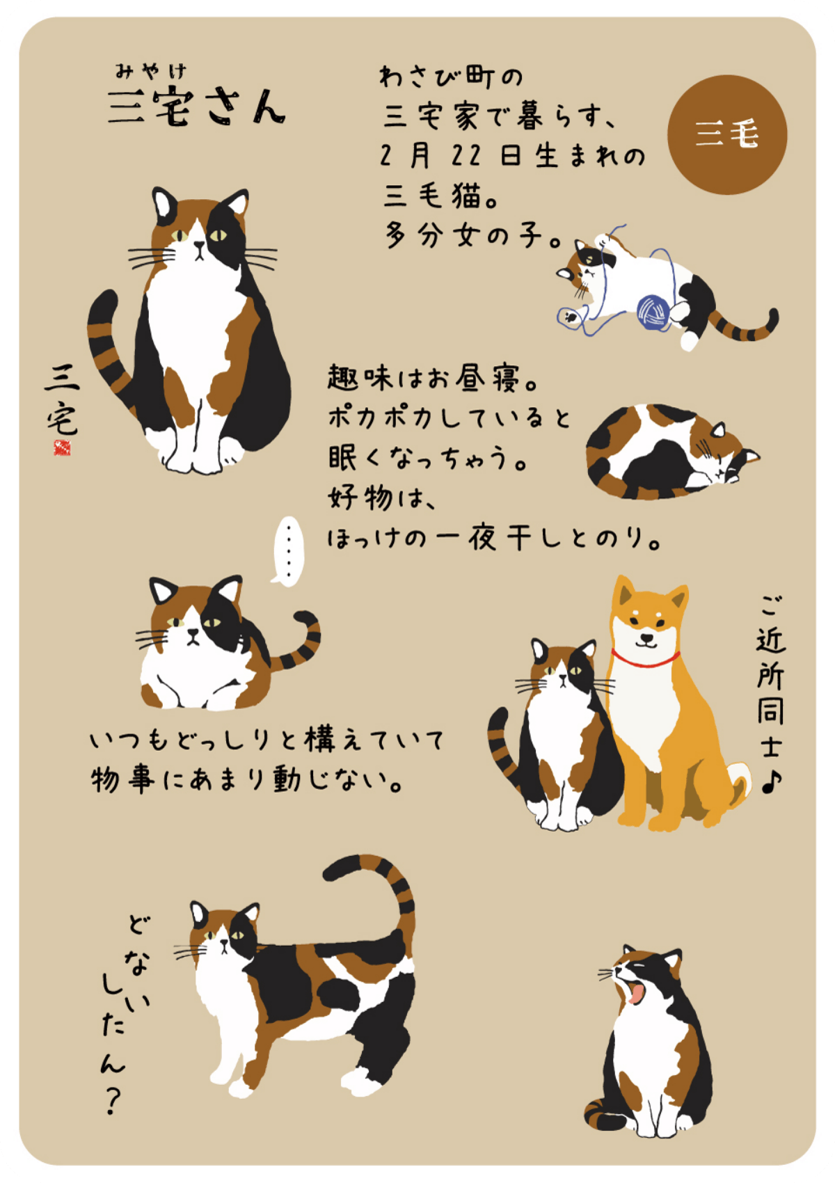 三宅さんのプロフィール