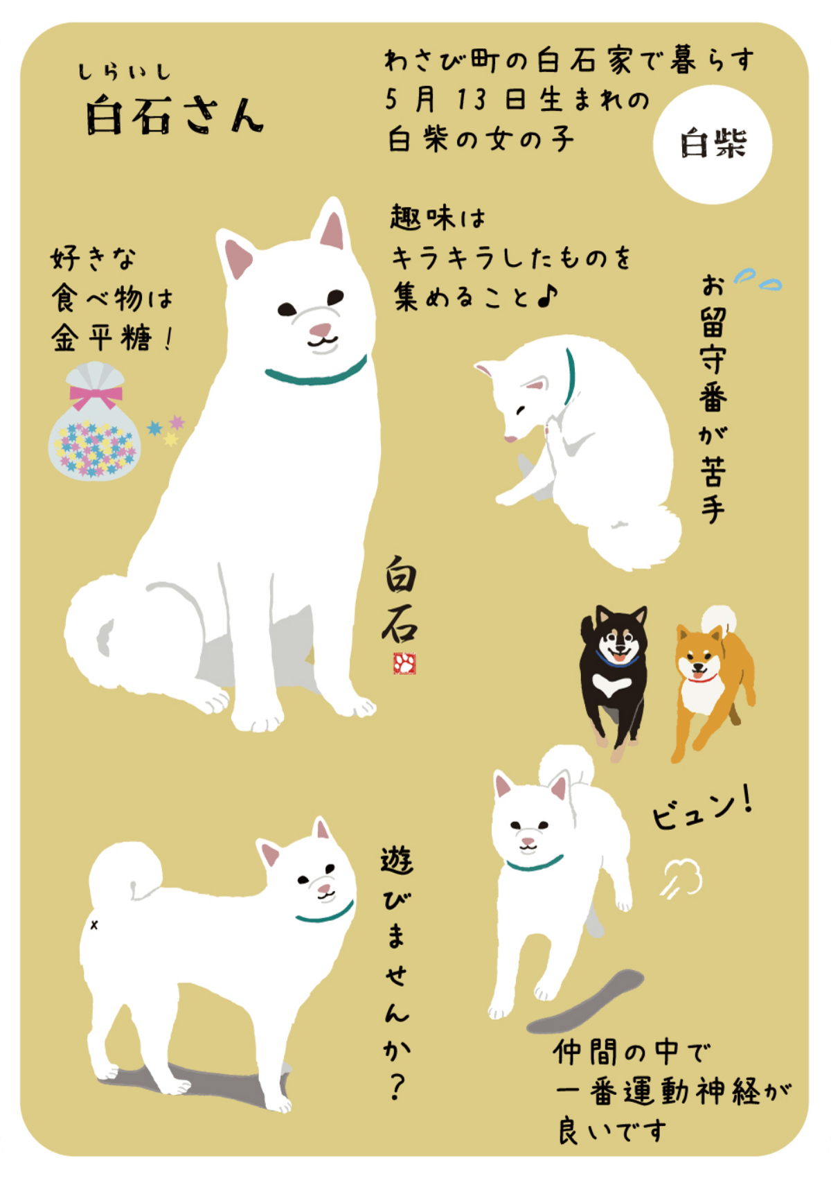 白石さんのプロフィール
