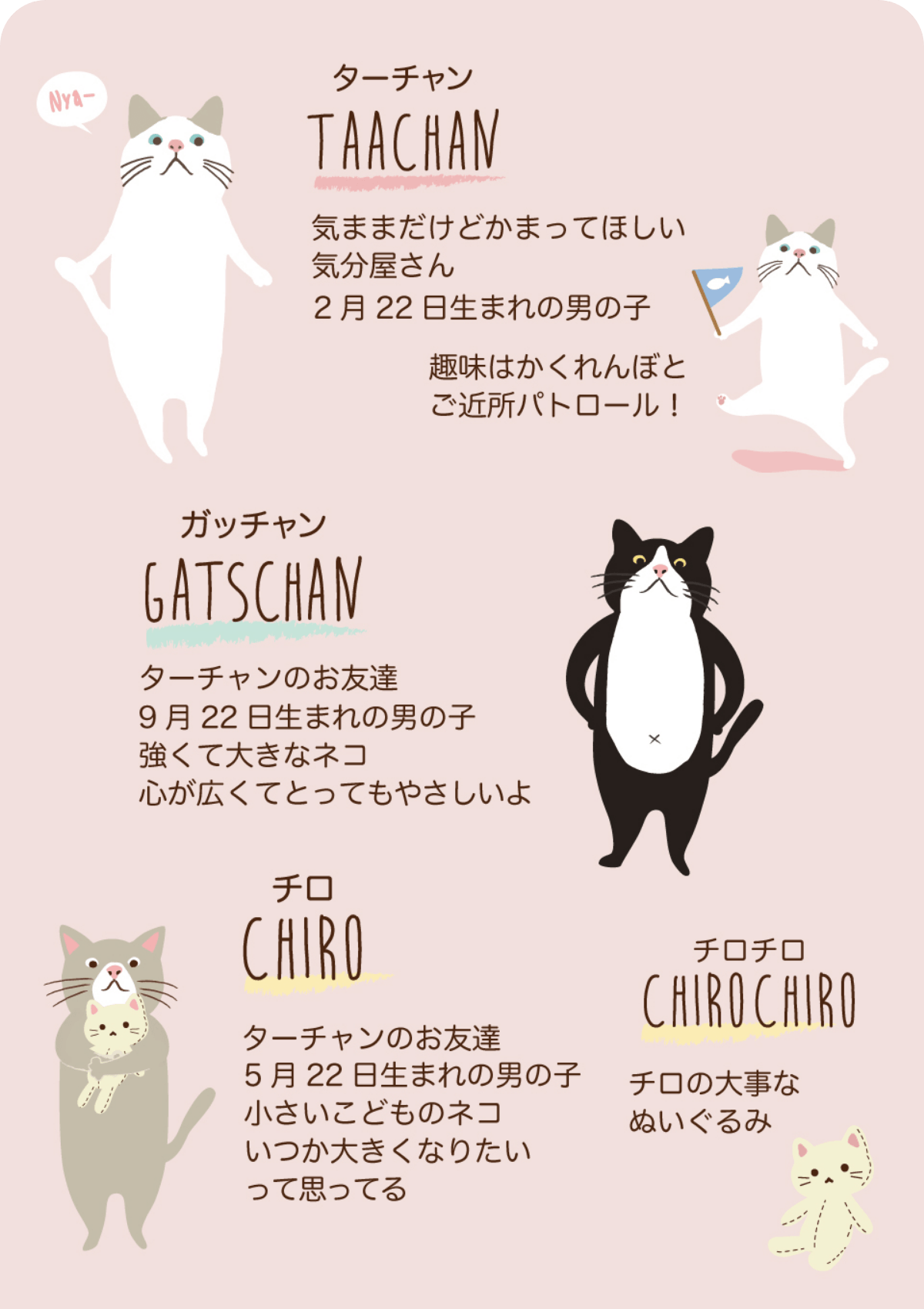 TAACHAN & FRIENDSのプロフィール