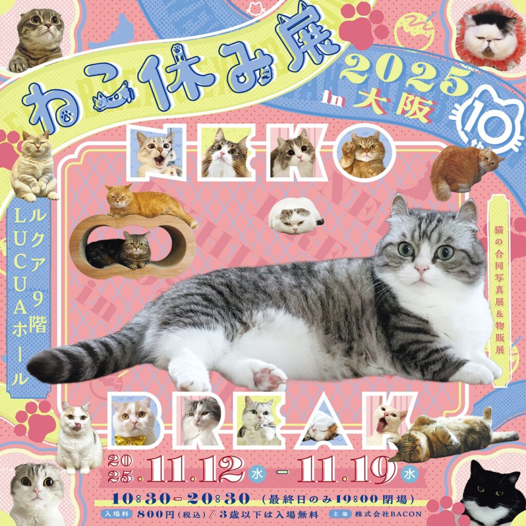 nekoyasumi_2025_O_1936×1936px_72ppi
