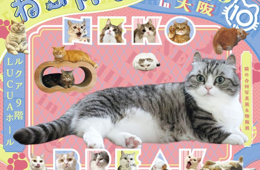 【大阪】ねこ休み展POPUPにターチャンが登場♪（11/12-19）